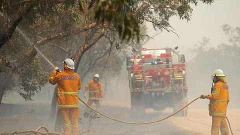 Bushfire Management Plan - Bushfire Risk Management - Molino Stewart